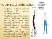 Abiejų apatinių galūnių paralyžius - paraplegija 12 puslapis