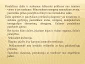 Abiejų apatinių galūnių paralyžius - paraplegija 15 puslapis