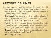 Abiejų apatinių galūnių paralyžius - paraplegija 4 puslapis