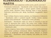 Abiejų apatinių galūnių paralyžius - paraplegija 6 puslapis