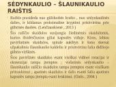 Abiejų apatinių galūnių paralyžius - paraplegija 8 puslapis