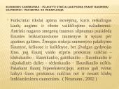 Abiejų apatinių galūnių paralyžius - paraplegija 10 puslapis