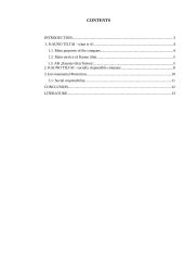 Introduction to AB "Kauno Tiltai" 2 puslapis