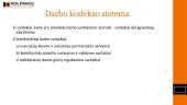 Darbo kodeksas 20 puslapis