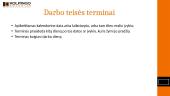 Darbo kodeksas 10 puslapis