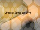 Dirbtiniai Žemės palydovai. Kosminiai greičiai 13 puslapis