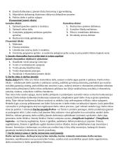 Pasiruošimas įmonių ekonomikos egzaminui 2 puslapis