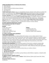 Pasiruošimas įmonių ekonomikos egzaminui 5 puslapis