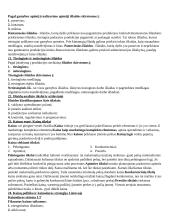 Pasiruošimas įmonių ekonomikos egzaminui 7 puslapis