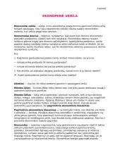 Ekonominės veiklos teorija