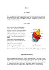 Astronomija - Žemė