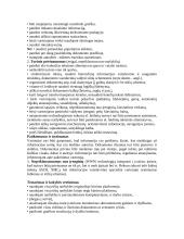 Internetinė leidyba 3 puslapis