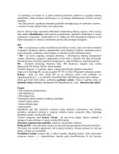 Internetinė leidyba 4 puslapis