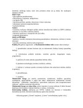 Internetinė leidyba 5 puslapis