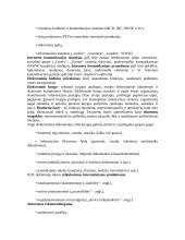 Internetinė leidyba 6 puslapis