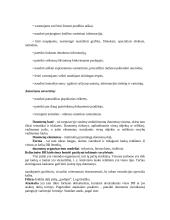 Internetinė leidyba 7 puslapis