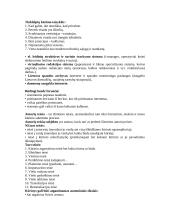 Internetinė leidyba 8 puslapis