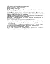 Internetinė leidyba 9 puslapis