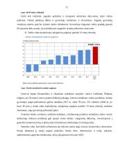 Lietuvos ekonomikos problemos 12 puslapis