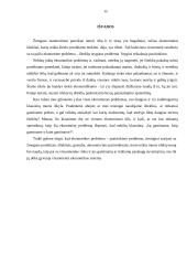 Lietuvos ekonomikos problemos 15 puslapis