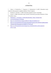 Lietuvos ekonomikos problemos 16 puslapis