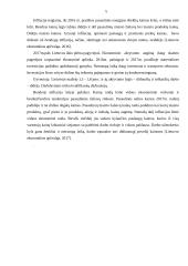 Lietuvos ekonomikos problemos 5 puslapis