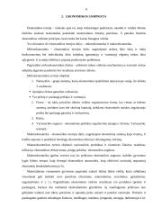 Lietuvos ekonomikos problemos 6 puslapis