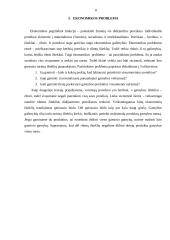 Lietuvos ekonomikos problemos 8 puslapis