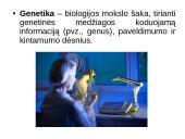 Genetiniai tyrimai 2 puslapis