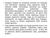 Genetiniai tyrimai 14 puslapis