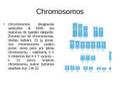 Genetiniai tyrimai 16 puslapis