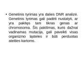 Genetiniai tyrimai 17 puslapis