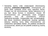 Genetiniai tyrimai 18 puslapis