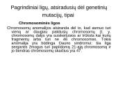 Genetiniai tyrimai 19 puslapis