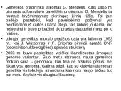 Genetiniai tyrimai 3 puslapis