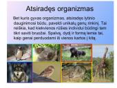 Genetiniai tyrimai 5 puslapis