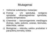 Genetiniai tyrimai 8 puslapis