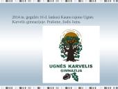 Sigitas Tamkevičius 17 puslapis