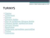 Šilumos kiekio apskaičiavimas 2 puslapis