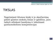 Šilumos kiekio apskaičiavimas 3 puslapis