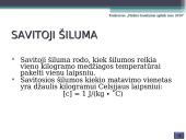 Šilumos kiekio apskaičiavimas 9 puslapis