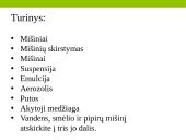 Mišiniai. Mišinių sudėtis 2 puslapis