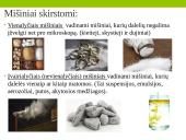 Mišiniai. Mišinių sudėtis 4 puslapis