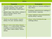 Mišiniai. Mišinių sudėtis 5 puslapis
