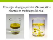 Mišiniai. Mišinių sudėtis 7 puslapis