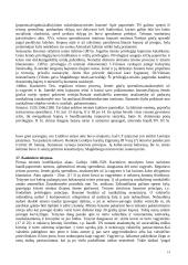 Išsami Lietuvos teisės istorija 14 puslapis