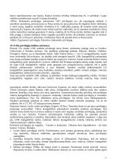 Išsami Lietuvos teisės istorija 17 puslapis