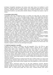 Išsami Lietuvos teisės istorija 5 puslapis