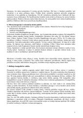 Išsami Lietuvos teisės istorija 6 puslapis