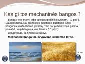 Projektas apie mechanines bangas 4 puslapis